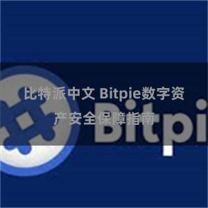 比特派中文 Bitpie数字资产安全保障指南