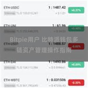 Bitpie用户 比特派钱包多链资产管理操作指南