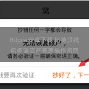 Bitpie安卓下载 比特派钱包多链资产管理操作指南