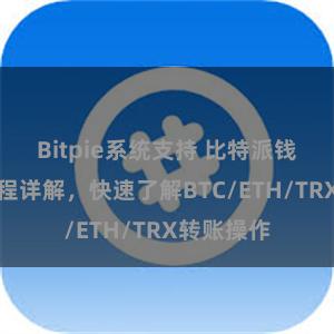 Bitpie系统支持 比特派钱包转账教程详解，快速了解BTC/ETH/TRX转账操作