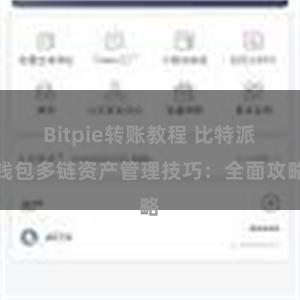 Bitpie转账教程 比特派钱包多链资产管理技巧：全面攻略