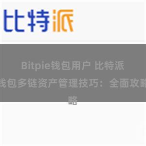 Bitpie钱包用户 比特派钱包多链资产管理技巧：全面攻略