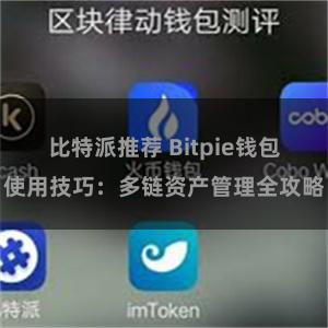 比特派推荐 Bitpie钱包使用技巧：多链资产管理全攻略