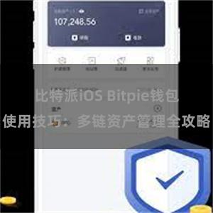 比特派iOS Bitpie钱包使用技巧：多链资产管理全攻略