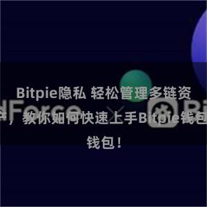 Bitpie隐私 轻松管理多链资产，教你如何快速上手Bitpie钱包！