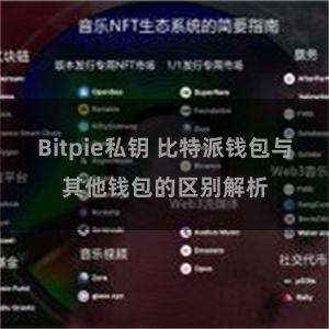 Bitpie私钥 比特派钱包与其他钱包的区别解析