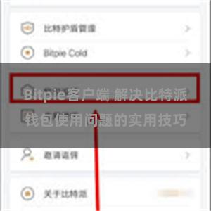 Bitpie客户端 解决比特派钱包使用问题的实用技巧