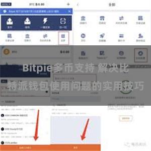 Bitpie多币支持 解决比特派钱包使用问题的实用技巧