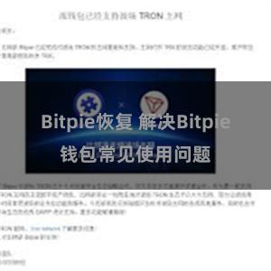 Bitpie恢复 解决Bitpie钱包常见使用问题