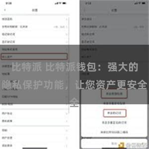 比特派 比特派钱包：强大的隐私保护功能，让您资产更安全