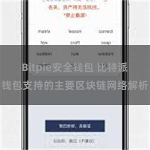 Bitpie安全钱包 比特派钱包支持的主要区块链网络解析