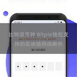 比特派币种 Bitpie钱包支持的区块链网络解析