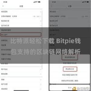 比特派轻松下载 Bitpie钱包支持的区块链网络解析