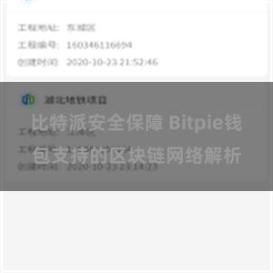 比特派安全保障 Bitpie钱包支持的区块链网络解析