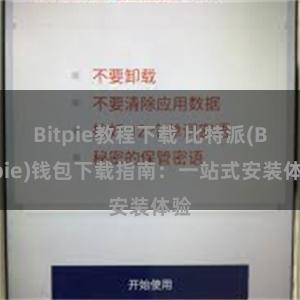 Bitpie教程下载 比特派(Bitpie)钱包下载指南：一站式安装体验