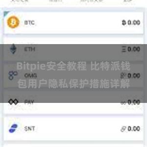 Bitpie安全教程 比特派钱包用户隐私保护措施详解