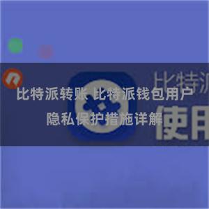 比特派转账 比特派钱包用户隐私保护措施详解