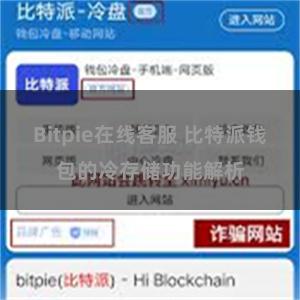 Bitpie在线客服 比特派钱包的冷存储功能解析