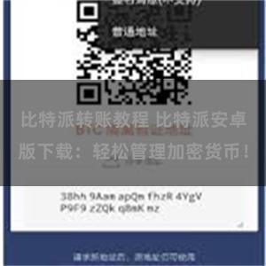 比特派转账教程 比特派安卓版下载：轻松管理加密货币！