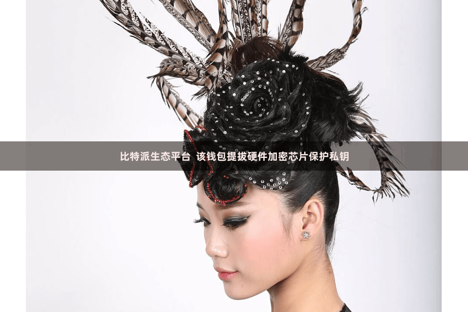 比特派生态平台  该钱包提拔硬件加密芯片保护私钥