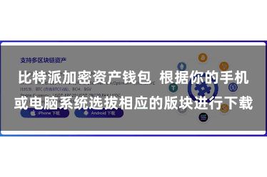 比特派加密资产钱包  根据你的手机或电脑系统选拔相应的版块进行下载